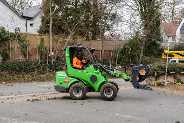 Why Tree Wise Men Is the Right Choice for Tree Maintenance