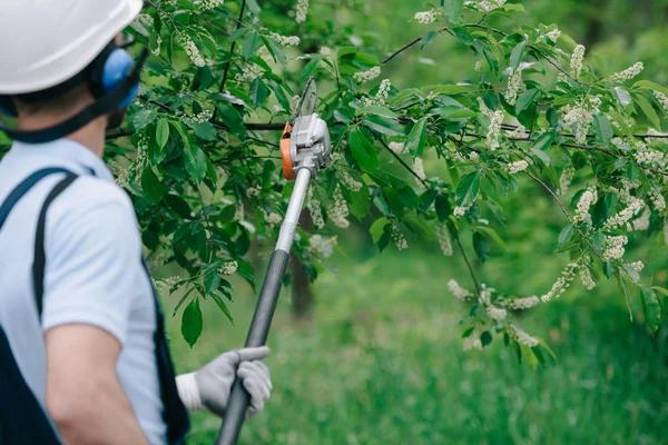 Tree Wise Men of Madison Offers Professional Tree Services You Can Trust