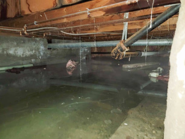 Experienced Water Damage Restoration Chicago for Flood Cleanup and Repairs